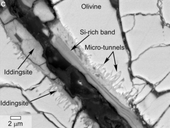 In un meteorite possibili indizi di vita marziana. E' caduto in Antartide 50.000 anni fa