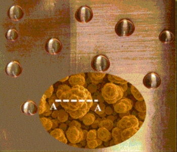 Il materiale più idrorepellente mai ottenuto. Imita le foglie di loto