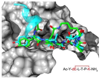 Bloccata la proteina che aiuta o tumori a nascere. Grazie a molecola bioinformatizzata