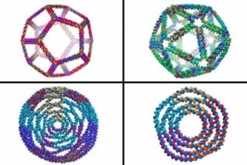 Costruite le più complesse 'sculture' di Dna in 3D. Potrebbero diventare navette per trasportare farmaci nelle cellule