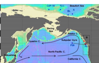 Innocua l''onda radioattiva' di Fukushima che ha raggiunto il Nord America. E' stata inseguita attraverso il Pacifico