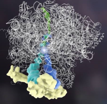 Non solo Dna, un altro regista per le fabbriche delle proteine. Potrebbe svolgere ruolo cruciale nelle malattie neurodegenerative