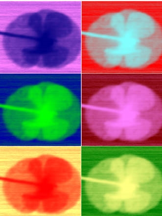 Elettronica di nuova generazione, con i Terahertz. Funziona nella lunghezza d'onda tra l'infrarosso e le microonde