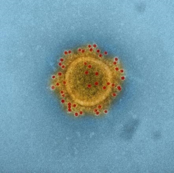 Mers, il vaccino funziona sugli animali. Individuato anche un super anticorpo che blocca il virus