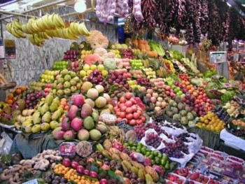 Antiossidanti della frutta contro Alzheimer e Parkinson. Studio centro ricerca trentino su interazioni col cervello