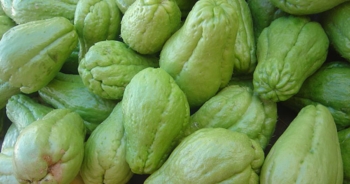 Chayote: proprietà e come si mangia