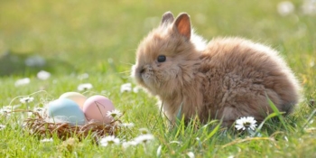 Pasqua nel mondo: come si festeggia