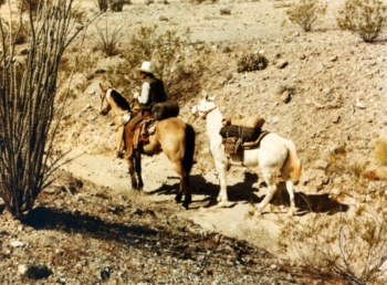 3^ puntata - ''La storia del rapporto fra luomo e il cavallo ''