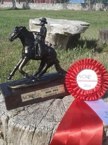 Caterina Minervini vince la categoria Non Pro nella 2^ tappa regionale di equitazione, specialità Reining