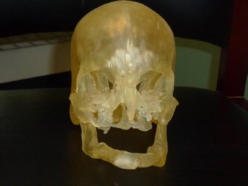 Il volto umano stampato in 3D. Renderà più precisi i trapianti di faccia