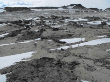 Scoperta in Antartide una foresta fossile. Tronchi carbonizzati risalgono a circa 250 mln di anni fa