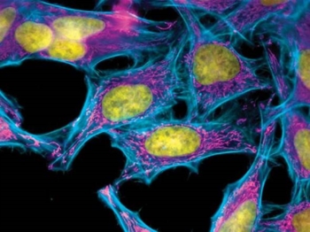 'Codice a barre' svela i geni espressi in migliaia di cellule. Utile per la diagnosi precoci