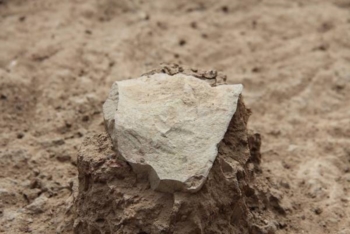 I primi strumenti sono più antichi di 700.000 anni. Costruiti dagli ominidi