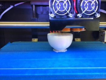 Uova stampate in 3D. Per smascherare gli uccelli 'truffatori' del nido