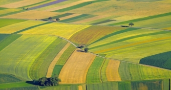 Gas serra: Italia punta sullagricoltura per ridurre la CO2
