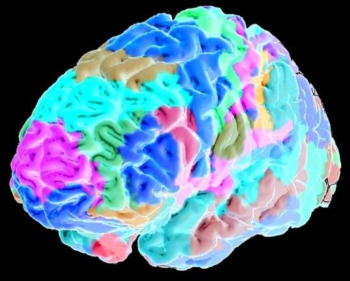 L'area del cervello in cui nascono le ideologie. Fede e pregiudizi 'cancellati' con la stimolazione magnetica