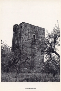 Torre Cicaloria