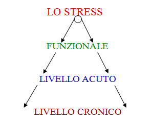 Vedi Immagine